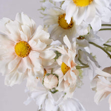 Cargar imagen en el visor de la galería, Dsc01086