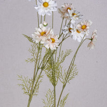 Cargar imagen en el visor de la galería, Dsc01089