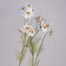 Cargar imagen en el visor de la galería, Dsc01107