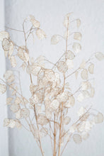 Cargar imagen en el visor de la galería, Lunaria Nacarada