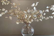 Cargar imagen en el visor de la galería, Lunaria Nacarada