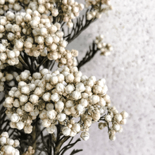Cargar imagen en el visor de la galería, Flor Arroz Blanca 2
