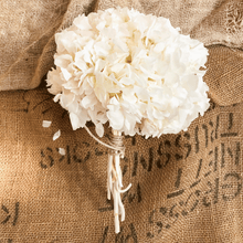 Cargar imagen en el visor de la galería, Hortensias Preservadas Varios Colores