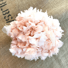 Cargar imagen en el visor de la galería, Hortensias Preservadas Varios Colores