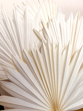 Cargar imagen en el visor de la galería, Palma Blanca 1