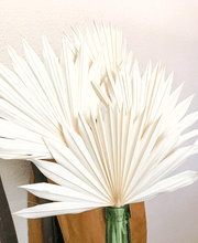 Cargar imagen en el visor de la galería, Palma Blanca 2