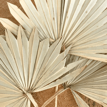 Cargar imagen en el visor de la galería, Palma Sun Varios Colores