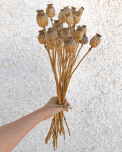 Cargar imagen en el visor de la galería, Papaver Natural 2