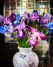 Cargar imagen en el visor de la galería, Iris Aritificial