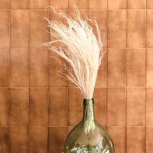 Cargar imagen en el visor de la galería, Stypa Penata Blanca 2