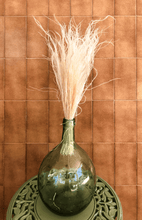 Cargar imagen en el visor de la galería, Stypa Penata Blanca2