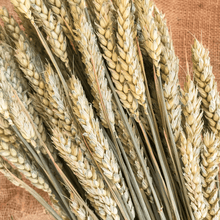 Cargar imagen en el visor de la galería, Trigo Natural 1
