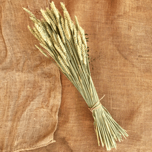 Cargar imagen en el visor de la galería, Trigo Natural 2