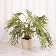 Cargar imagen en el visor de la galería, Web Decoco Productos Areca Triple 3