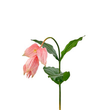 Cargar imagen en el visor de la galería, Medinilla Hiperrealista