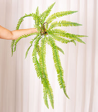 Cargar imagen en el visor de la galería, Web Decoco Productos Helecho 2