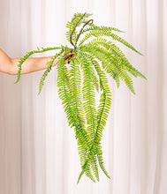 Cargar imagen en el visor de la galería, Web Decoco Productos Helecho 3