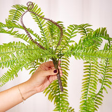 Cargar imagen en el visor de la galería, Web Decoco Productos Helecho 5