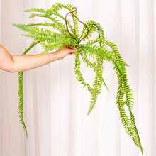 Cargar imagen en el visor de la galería, Web Decoco Productos Helecho