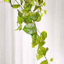 Cargar imagen en el visor de la galería, Poto Singonium