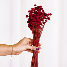 Cargar imagen en el visor de la galería, Botao Preservado