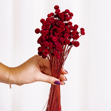 Cargar imagen en el visor de la galería, Botao Preservado