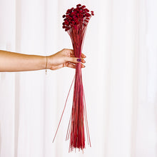 Cargar imagen en el visor de la galería, Botao Preservado