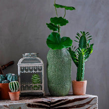 Cargar imagen en el visor de la galería, Hoja de Loto