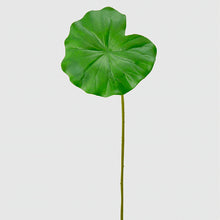 Cargar imagen en el visor de la galería, Hoja de Loto