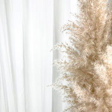 Cargar imagen en el visor de la galería, Pampas Patri White House