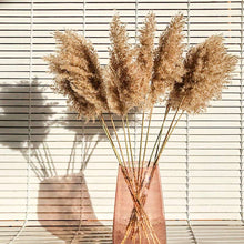 Cargar imagen en el visor de la galería, Pampas marrones