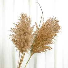 Cargar imagen en el visor de la galería, Pampas marrones