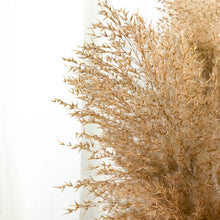 Cargar imagen en el visor de la galería, Pampas marrones