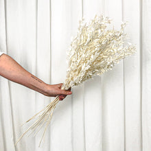 Cargar imagen en el visor de la galería, Ruscus Preservado Varios colores