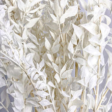 Cargar imagen en el visor de la galería, Ruscus Preservado Varios colores