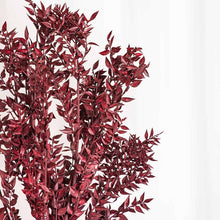 Cargar imagen en el visor de la galería, Ruscus Preservado Varios colores