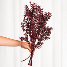 Cargar imagen en el visor de la galería, Ruscus Preservado Varios colores