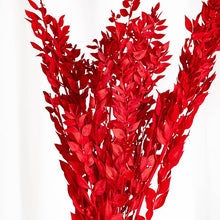 Cargar imagen en el visor de la galería, Ruscus Preservado Varios colores