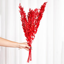 Cargar imagen en el visor de la galería, Ruscus Preservado Varios colores