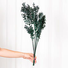 Cargar imagen en el visor de la galería, Ruscus Preservado Varios colores