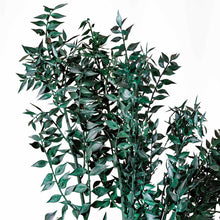Cargar imagen en el visor de la galería, Ruscus Preservado Varios colores