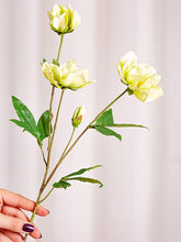 Cargar imagen en el visor de la galería, Web Decoco Producto Eleboro Blanco 5