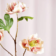 Cargar imagen en el visor de la galería, Eléboros artificiales