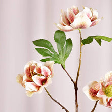 Cargar imagen en el visor de la galería, Eléboros artificiales