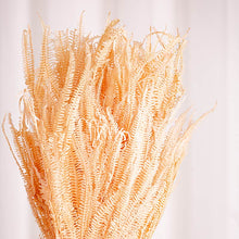 Cargar imagen en el visor de la galería, Helecho Preservado