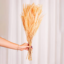 Cargar imagen en el visor de la galería, Helecho Preservado