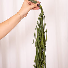 Cargar imagen en el visor de la galería, Web Decoco Producto Planta Alga Verde 2