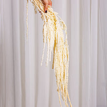 Cargar imagen en el visor de la galería, Web Decoco Producto Preservadas Amaranthus Blanco 3