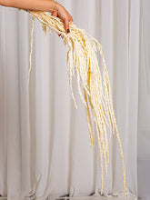 Cargar imagen en el visor de la galería, Web Decoco Producto Preservadas Amaranthus Blanco 4