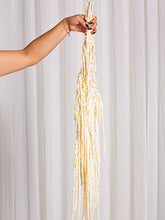 Cargar imagen en el visor de la galería, Web Decoco Producto Preservadas Amaranthus Blanco 8